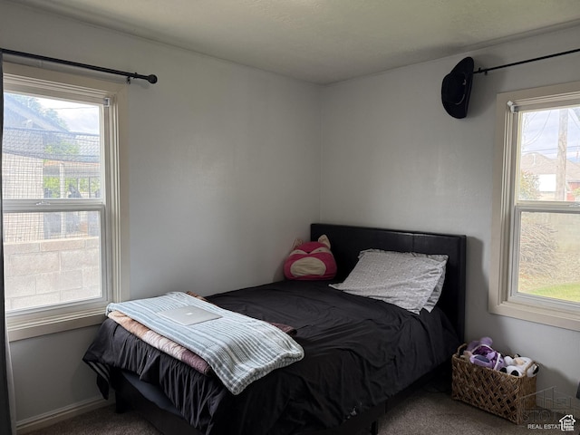 380 N 100 W, Spanish Fork, UT 84660 - bedroom featuring carpet flooring