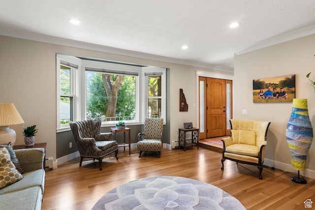 living area with wood finished floors, recessed lighting, baseboards, and a baseboard radiator