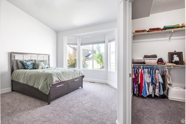 bedroom featuring carpet floors, baseboards, and a closet