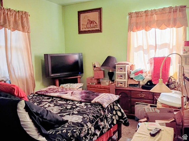 bedroom featuring carpet floors
