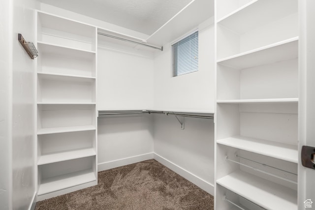 783 W 175 S, Springville, UT 84663 - spacious closet with dark carpet