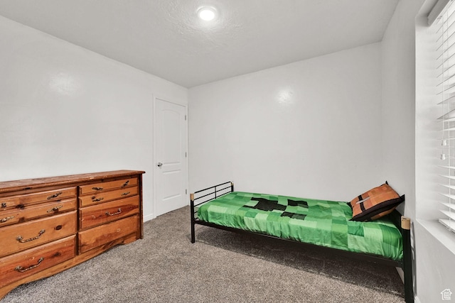 256 13th St, Ogden, UT 84404 - bedroom featuring carpet floors