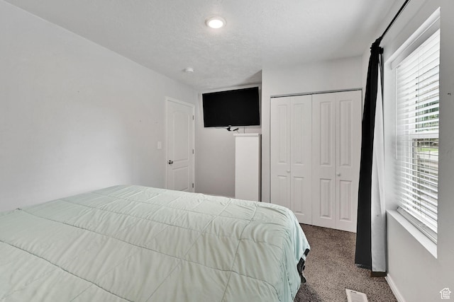 256 13th St, Ogden, UT 84404 - bedroom featuring carpet floors, a closet, and a textured ceiling