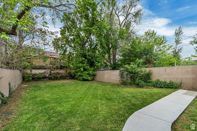 3400 S 2000 E, Millcreek, UT 84109 - view of yard