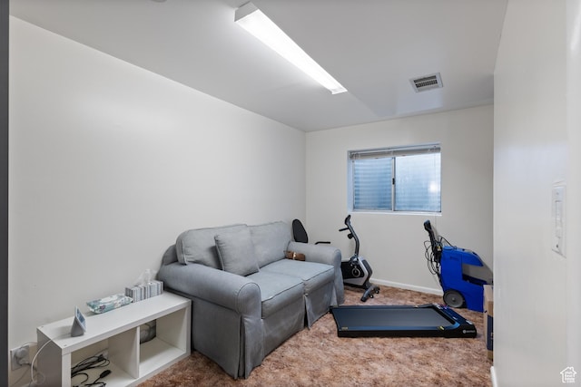 exercise room with carpet floors
