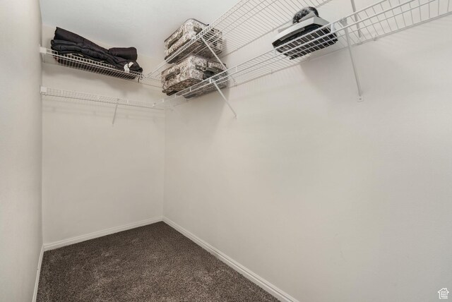 1693 W Westbury Unit D, Lehi, UT 84043 - spacious closet with dark carpet