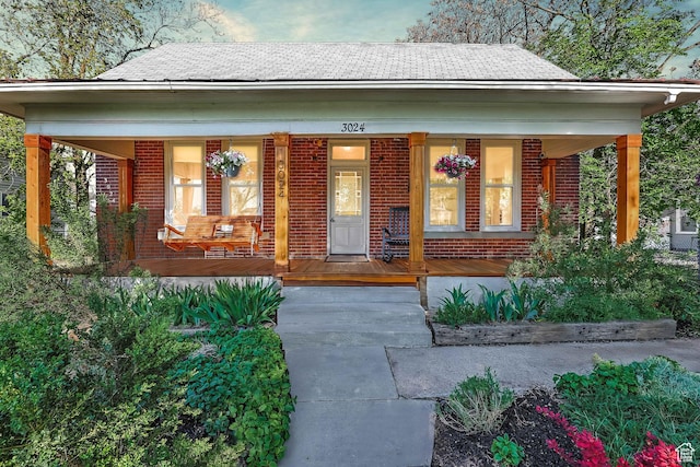 doorway to property featuring covered porch and brick siding