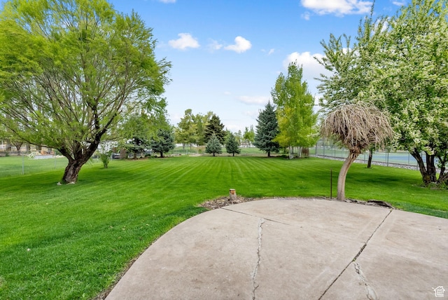 view of community featuring a yard