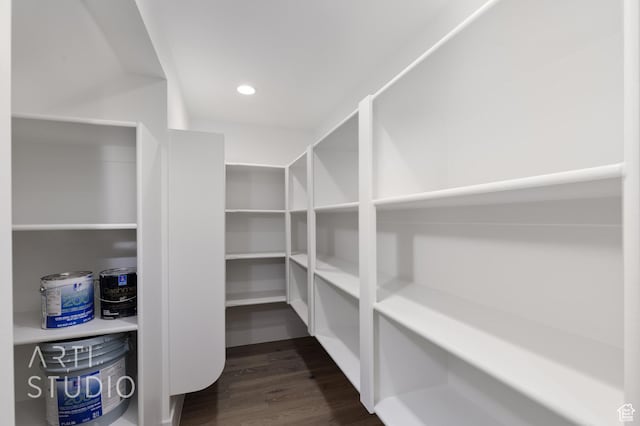 2832 E Stonedale Dr, St George, UT 84790 - view of pantry
