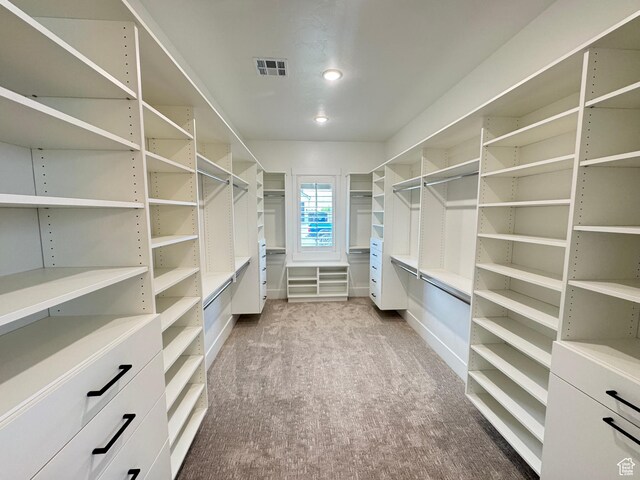 spacious closet with carpet