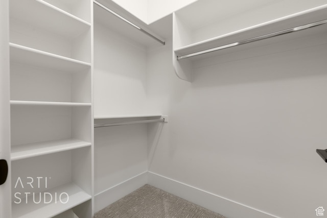 2832 E Stonedale Dr, St George, UT 84790 - view of spacious closet