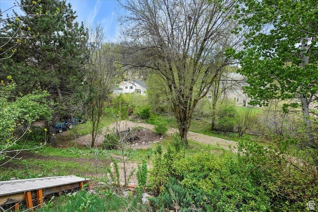 5925 W Highland Dr N, Mountain Green, UT 84050 - view of yard