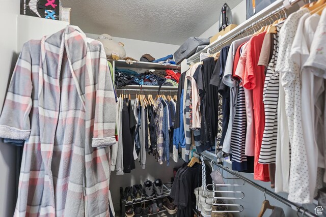 view of walk in closet