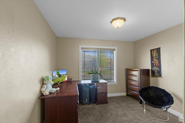 551 White Pine Pl, North Logan, UT 84341 - photo 22