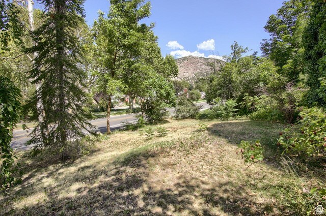 view of yard with a mountain view