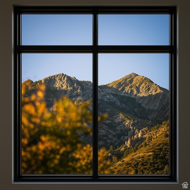 detailed view of a mountain view