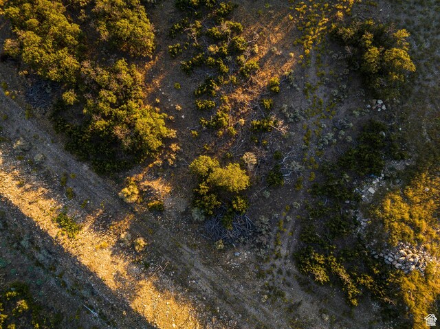 aerial overview of property's location