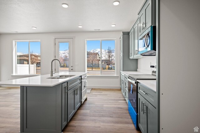 621 S 85 E Unit 24, Smithfield, UT 84335 - kitchen featuring a sink, stainless steel appliances, gray cabinetry, light wood-type flooring, and light countertops