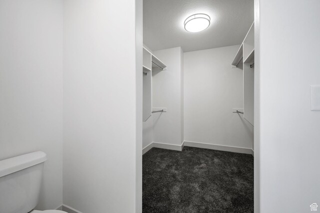 621 S 85 E Unit 24, Smithfield, UT 84335 - spacious closet with dark colored carpet