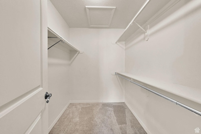 157 W Southwell St, Ogden, UT 84404 - walk in closet with light carpet and attic access