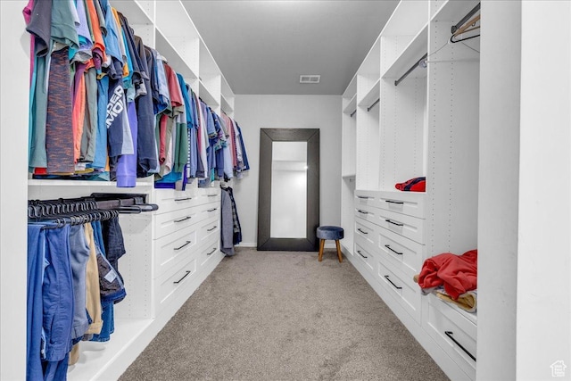 spacious closet with light carpet