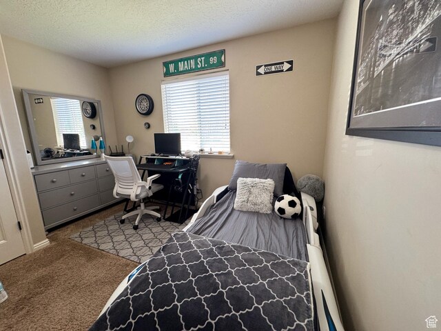1661 S 1960 E, Spanish Fork, UT 84660 - carpeted bedroom with multiple windows, a textured ceiling, and an office area