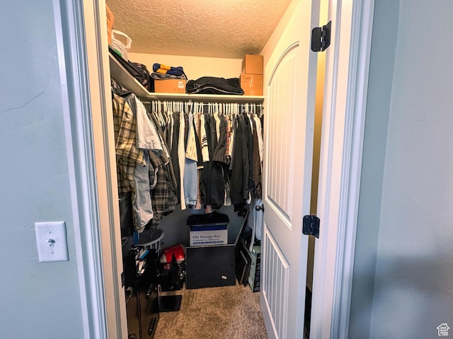 1661 S 1960 E, Spanish Fork, UT 84660 - spacious closet with carpet flooring