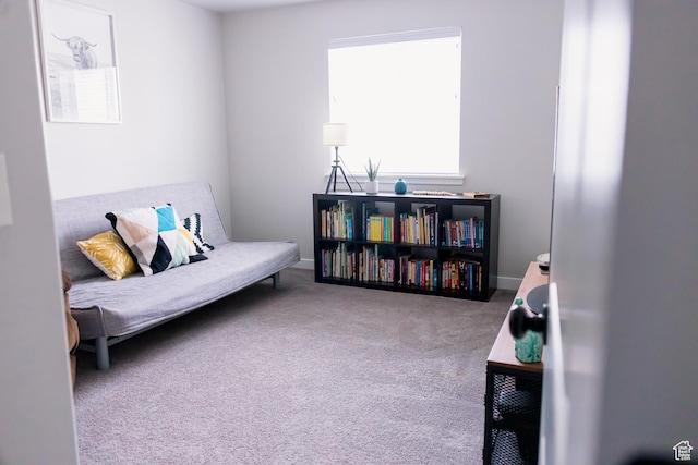 14944 S Beckham Dr W, Herriman, UT 84096 - view of carpeted bedroom