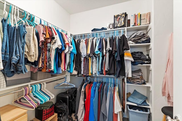 view of walk in closet