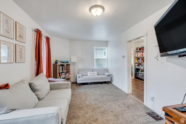358 W 400 S, Provo, UT 84601 - living room featuring carpet and baseboards