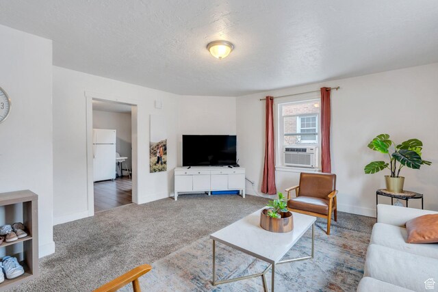 358 W 400 S, Provo, UT 84601 - living area featuring carpet flooring, baseboards, and a textured ceiling