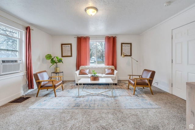 358 W 400 S, Provo, UT 84601 - carpeted living area featuring healthy amount of natural light, cooling unit, a textured ceiling, baseboards, and crown molding