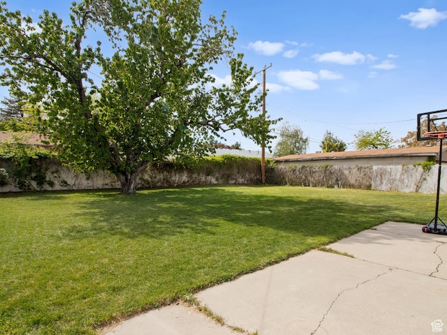 view of yard featuring a patio