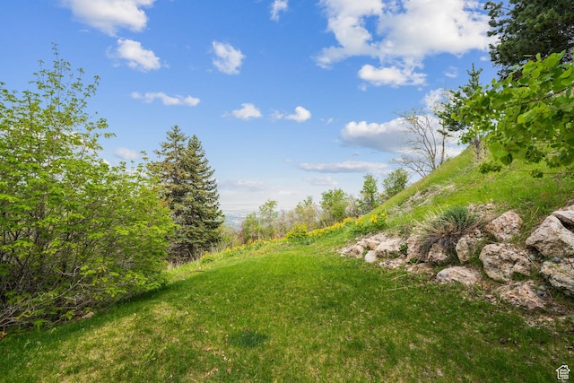 2863 S Cove Ln, Bountiful, UT 84010 - view of yard