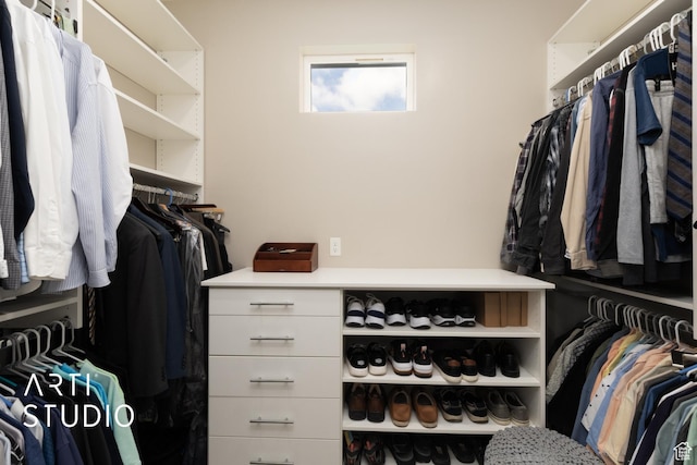 view of spacious closet