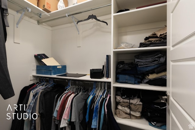 view of walk in closet