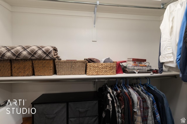 view of spacious closet