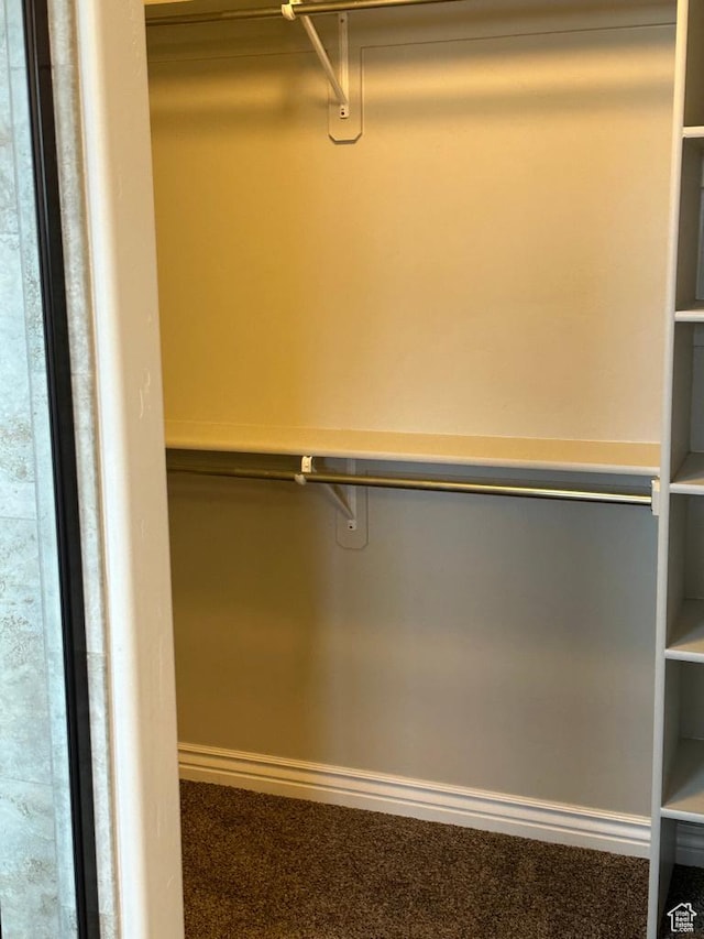 walk in closet with carpet flooring