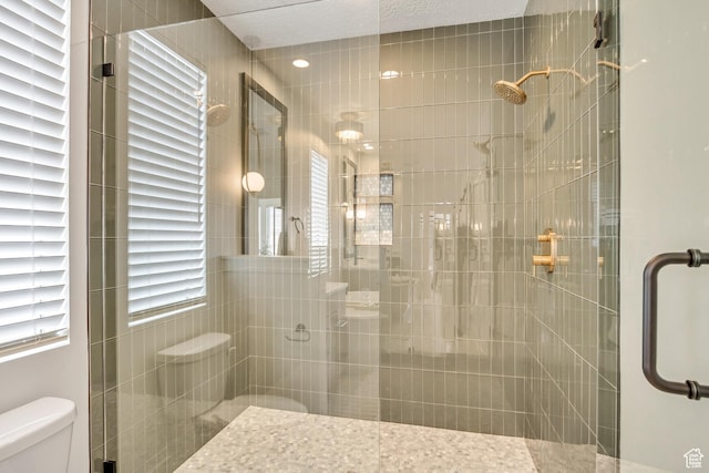 bathroom with toilet and a shower stall