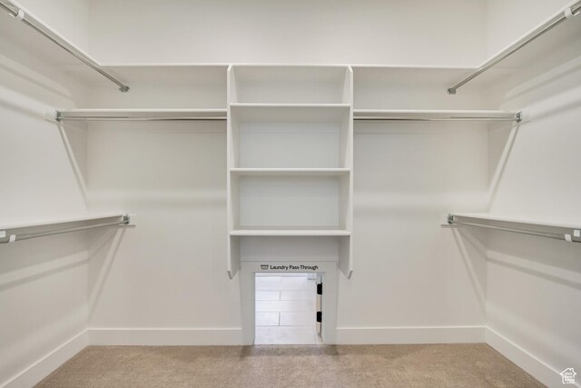 spacious closet with light colored carpet