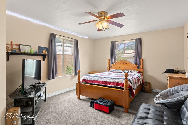382 W 200 N, St George, UT 84770 - carpeted bedroom featuring multiple windows and baseboards