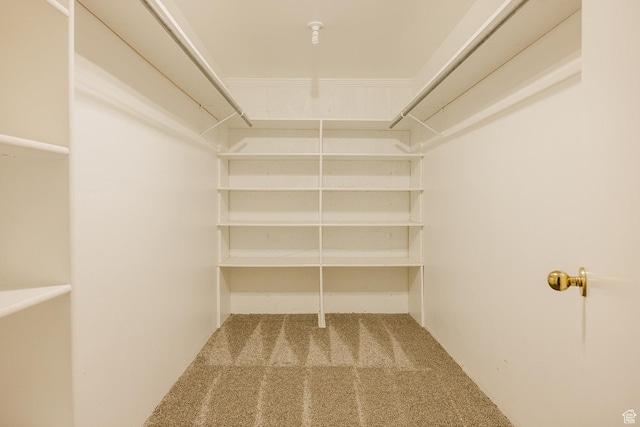 walk in closet with carpet
