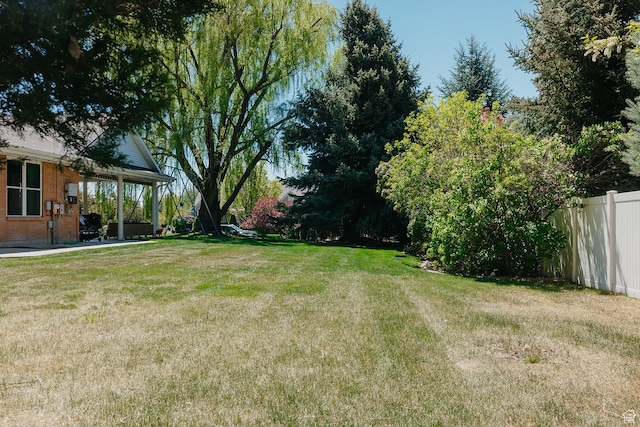view of yard