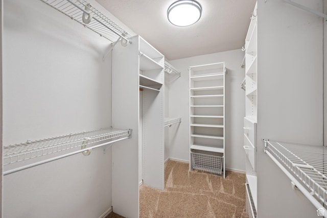 spacious closet with carpet flooring