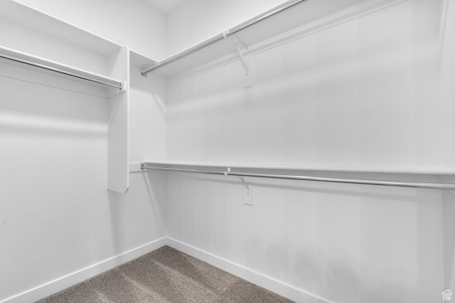 walk in closet with dark colored carpet