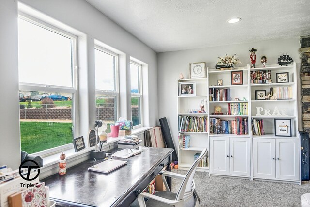 1137 E 425 N, Beaver, UT 84713 - photo 33