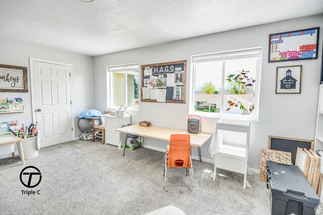 1137 E 425 N, Beaver, UT 84713 - photo 31