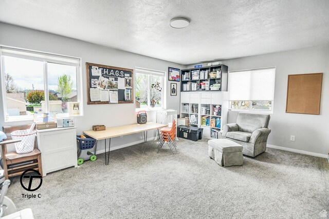 1137 E 425 N, Beaver, UT 84713 - photo 32
