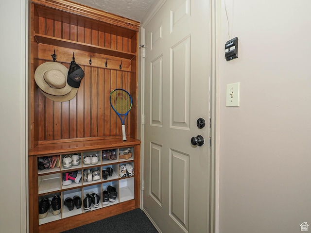 mudroom with wood walls