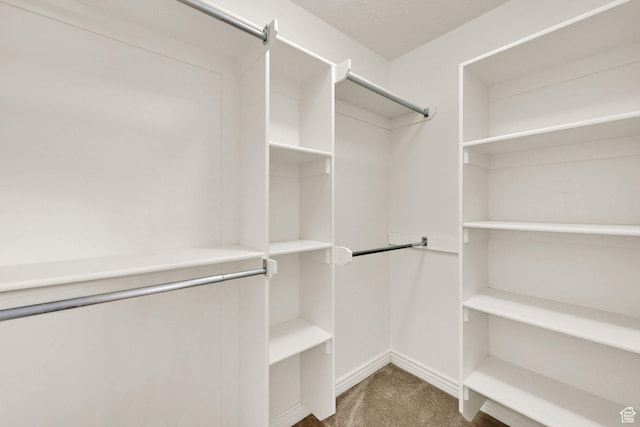 3267 S 1350 W, Perry, UT 84302 - spacious closet with carpet flooring